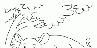 kolorowanka zwierzątko z afryki do druku dla dzieci