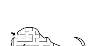 Labirynt dla dzieci dinozaury labirynt dla dzieci dinozaury do druku