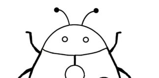 Leśna dzika biedronka leśna biedroneczka kolorowanka online