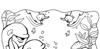 Podwodny świat podwodny świat kolorowanka do druku