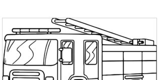 Pojazd pożarniczy samochód pożarniczy kolorowanka online