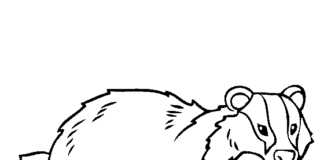 Przygotowania do snu zimowego przygotowania do snu zimowego obrazek do drukowania