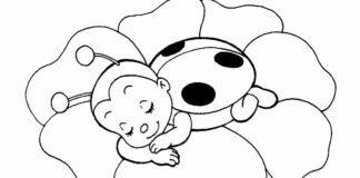 Śpiąca biedronka śpiąca biedronka kolorowanka do druku