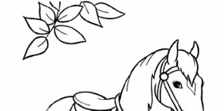 Zwierze w oczekiwaniu na wyścig koń wyścigowy obrazek do drukowania