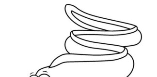 Wesoła ryba wesoła ryba kolorowanka online