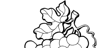 Zielone rodzynki zielone rodzynki kolorowanka online