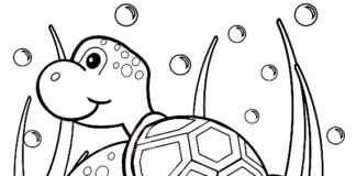 Zwierzątko w wodzie Malowanka - zwierzątko w wodzie - pływający żółwiek kolorowanka do druku