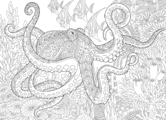 ośmiornica zentangle kolorowanka online