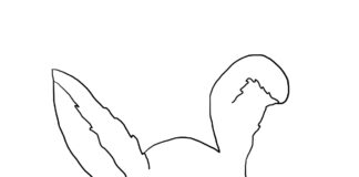 kolorowanka online mały zajączek i kurka