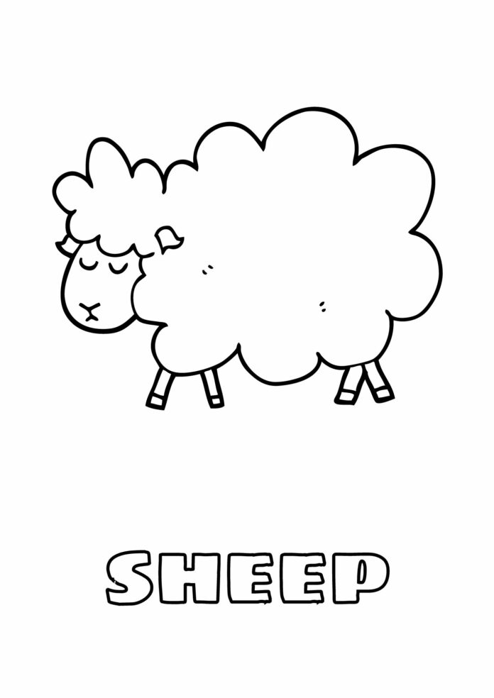 Kolorowanka online Owca do pokolorowania