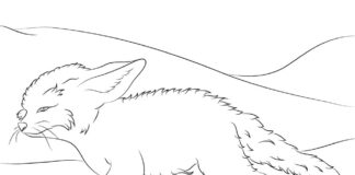 Fenek biegnie po pustyni Kolorowanka online Fenek biegnie po pustyni