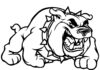 Kolorowanka online Groźny bulldog pies