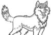 Pies husky z bajki Kolorowanka online Piesek husky z bajki
