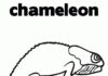 Kolorowanka Prosta malowanka z kameleonem do druku