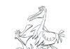 Kolorowanka Dwa pelikany z bjki dla dzieci do druku