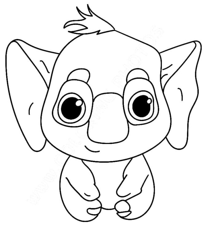 Kolorowanka Koala z Dzika Ekipa bajki dla dzieci do druku