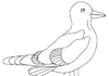 Kolorowanka Młoda mewa spaceruje dla dzieci do druku