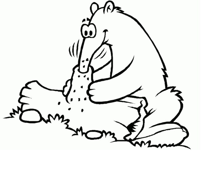 Kolorowanka Mrówkojad zajada się mrówkami do druku