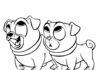 Bingo i Rolly psy Kolorowanka Bingo i Rolly psy
