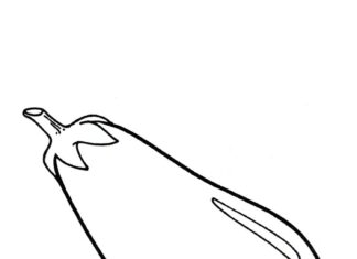 Podłużne warzywo koloranka podłużne warzywo bakłażan do druku dla dzieci