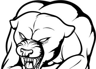 Agresywna pantera wystawia kły