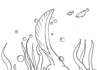 Axolotl pływający z rybkami po rafie kolorowanka axolotl pływający z rybkami po rafie