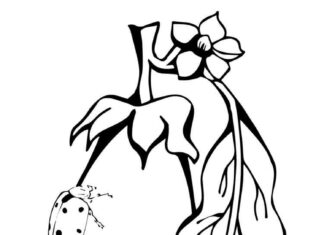 Biedronka wchodzi na Bakłażan kolorowanka biedronka wchodzi na bakłażan do druku