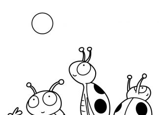 kolorowanka biedronki obserwują słońce