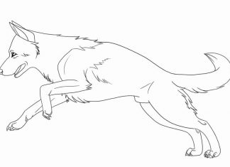 kolorowanka biegnący pies przeskakujący przez przeszkody