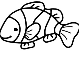 Błazenek macha płetwami kolorowanka błazenek macha płetwami