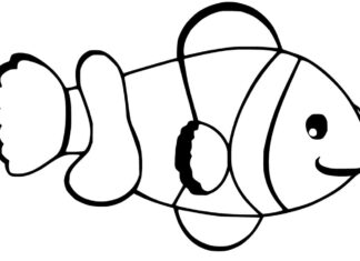 Błazenek pływa kolorowanka błazenek pływa