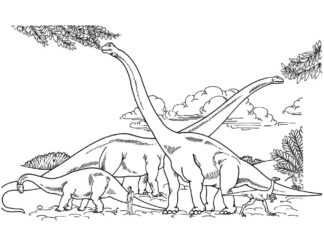 kolorowanka brachiosaury jedzą liście do druku