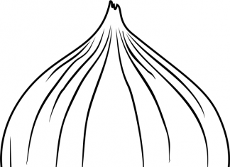 kolorowanka cebula dla dzieci do druku