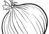 kolorowanka cebuli czerwonej dla dzieci do druku
