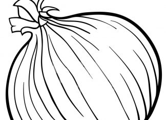 kolorowanka cebuli czerwonej dla dzieci do druku