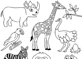 Ciekawe zwierzęta z safari kolorowanka ciekawe zwierzęta z safari do druku