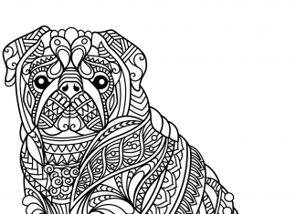 kolorowanka ciekawy pies w mozaiczne wzorki