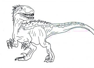 kolorowanka drapieżny dinozaur z pazurami
