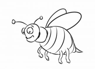 kolorowanka duża pszczoła szuka miodu