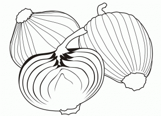 kolorowanka duże cebule zielone do druku