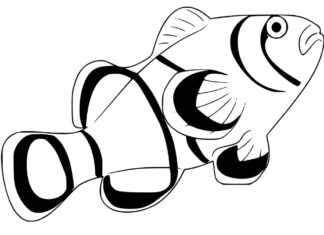 Duży błazenek kolorowanka duży błazenek do druku