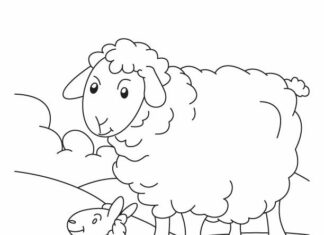 Dwa jagnięta pasą się na polanie kolorowanka dwa jagnięta pasą się na polanie do druku