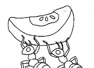 kolorowanka dwa owady niosące owoc