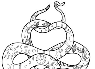 Dwa węże zawinięte ze sobą kolorowanka splecione węże