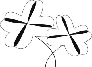 kolorowanka dwie koniczyny na łodydze