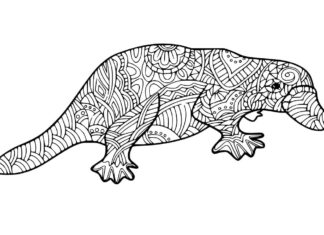 kolorowanka dziobak w mozaiczne wzorki