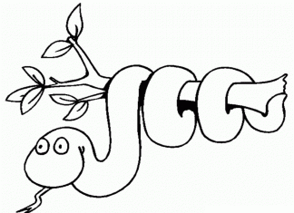 Gad wiszący na gałęzi kolorowanka gad wiszący na gałęzi do druku