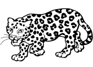 kolorowanka groźny lampart