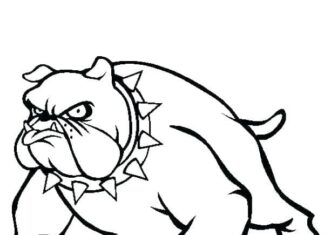 Groźny pitbull w kolczastej obroży kolorowanka groźny pitbull w kolczastej obroży