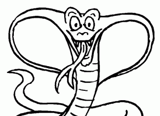 Kobra z długim językiem kolorowanka kobra z długim językiem